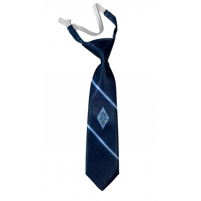 Kaklasaite zila
